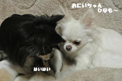 20121109+008_convert_20121109103026.jpg