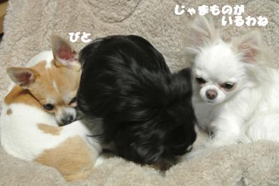20121109+009_convert_20121109103121.jpg