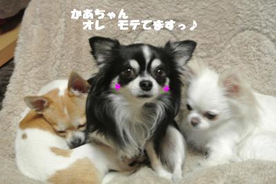 20121109+014_convert_20121109103218.jpg
