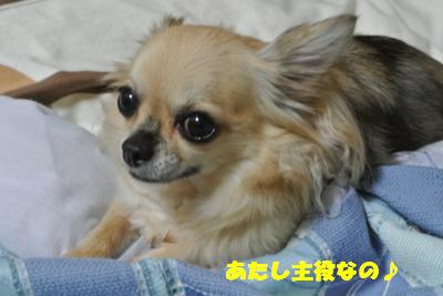20121109+016_convert_20121112153848.jpg