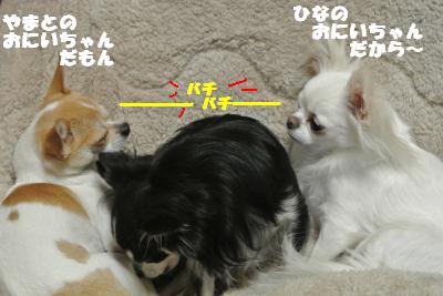 20121109+017_convert_20121109103305.jpg