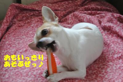 20121109+025_convert_20121109101143.jpg