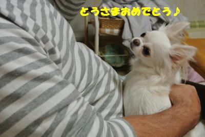 20121109+028_convert_20121112095651.jpg