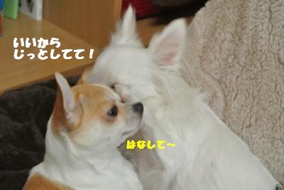 20121109+030_convert_20121112100632.jpg