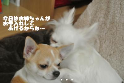 20121109+031_convert_20121112095750.jpg