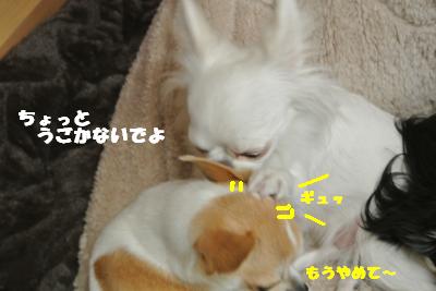 20121109+033_convert_20121112100720.jpg
