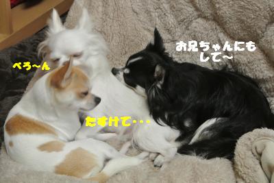 20121109+036_convert_20121112100746.jpg