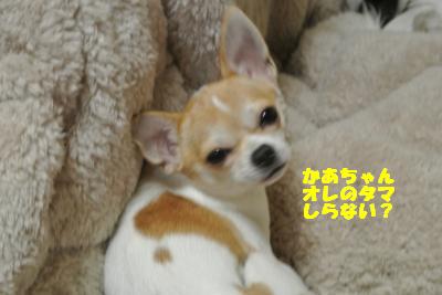 20121114+001_convert_20121114110036.jpg