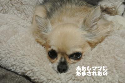 20121114+003_convert_20121114105923.jpg
