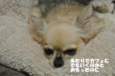 20121114+004_convert_20121114105946.jpg