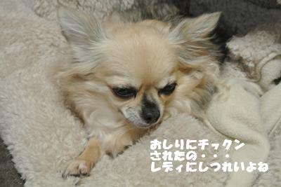 20121114+005_convert_20121114110010.jpg