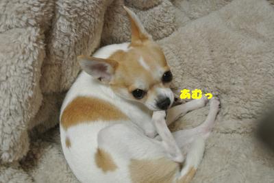 20121114+006_convert_20121114110148.jpg