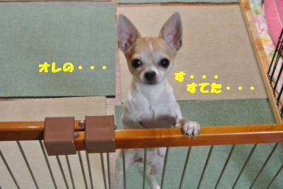 20121114+008_convert_20121114110241.jpg