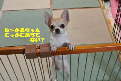 20121114+009_convert_20121114110310.jpg
