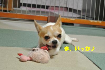蟆城未+985_convert_20121114112318