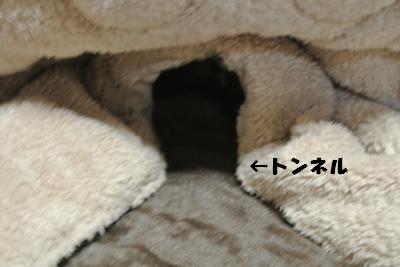 20121115+001_convert_20121115090239.jpg
