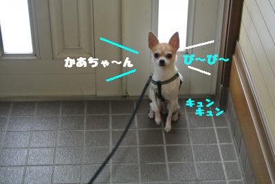 20121115+001_convert_20121115141853.jpg
