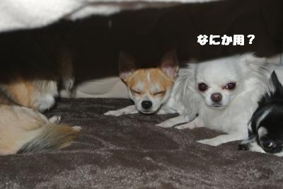 20121115+002_convert_20121115090304.jpg