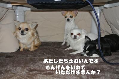 20121115+003_convert_20121115090329.jpg