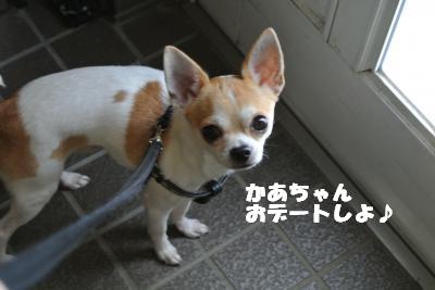 20121115+004_convert_20121115141956.jpg