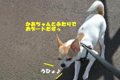 20121115+005_convert_20121115142036.jpg