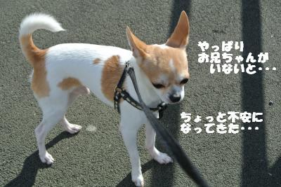 20121115+006_convert_20121115142505.jpg