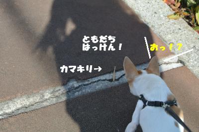 20121115+008_convert_20121115142154.jpg