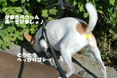 20121115+011_convert_20121115142252.jpg