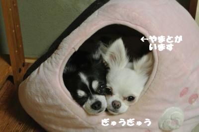 20121119+001_convert_20121120095558.jpg