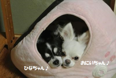 20121119+001_convert_20140131133143.jpg