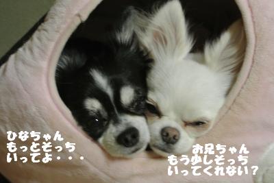 20121119+003_convert_20121120095621.jpg