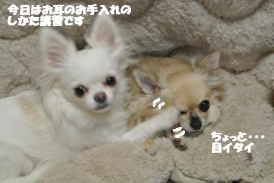20121119+006_convert_20121121113705.jpg