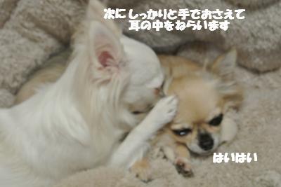 20121119+007_convert_20121121113735.jpg