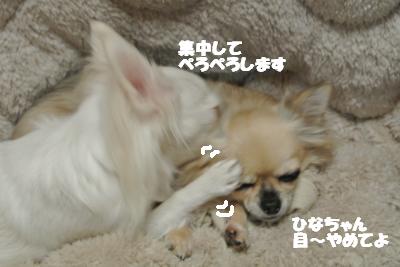 20121119+008_convert_20121121113802.jpg