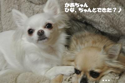 20121119+011_convert_20121121113935.jpg