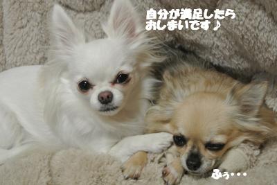 20121119+012_convert_20121121114006.jpg