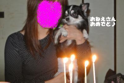 20121119+018_convert_20121119104714.jpg