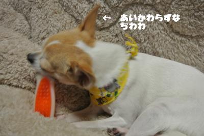 20121119+045_convert_20121119105021.jpg