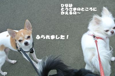 20121120+004_convert_20121120154004.jpg