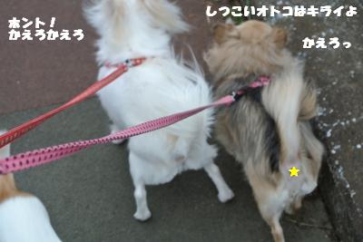 20121120+005_convert_20121120153939.jpg