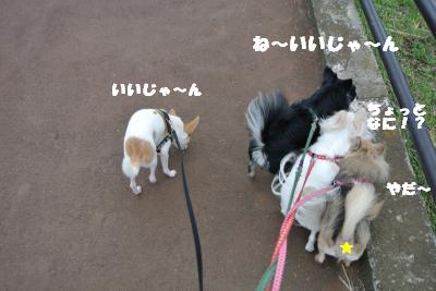 20121120+006_convert_20121120153852.jpg