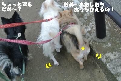 20121120+008_convert_20121120153741.jpg