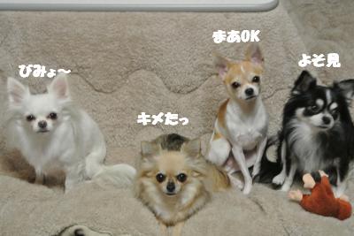 20121120+014_convert_20121121113052.jpg