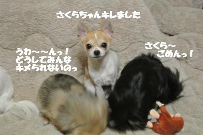 20121120+021_convert_20121121113315.jpg