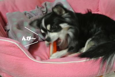 20121120+024_convert_20121121112614.jpg