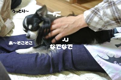 20121126+003_convert_20121130102351.jpg