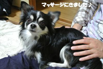 20121126+007_convert_20121130102318.jpg