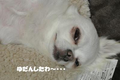 20121126+008_convert_20121126103351.jpg