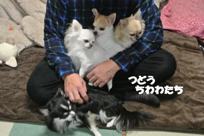 20121126+008_convert_20121129094035.jpg