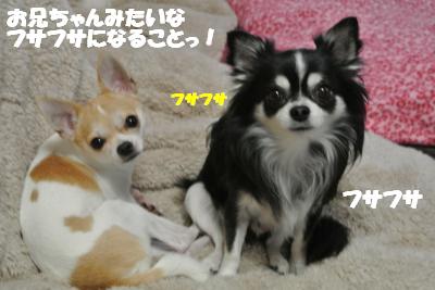 20121126+009_convert_20121127105014.jpg